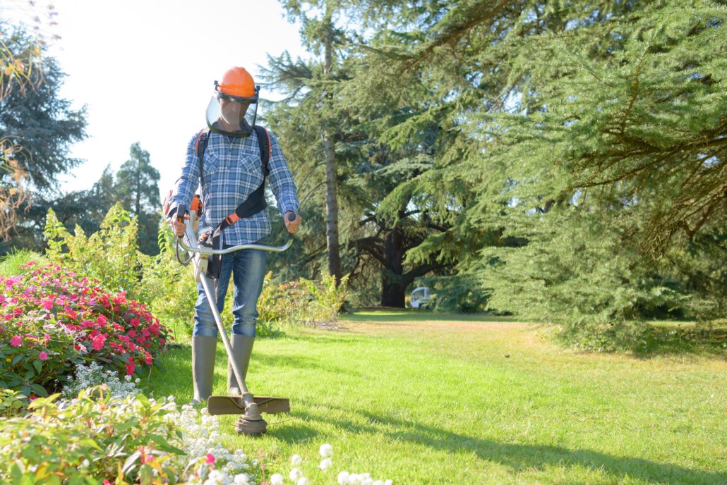 trimming the grass and garden